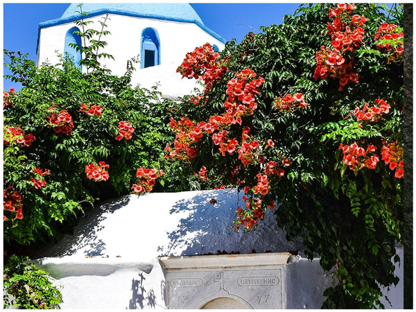 ESCAPE YOUR WORLD | Paros island! A complete guide to this beautiful island!