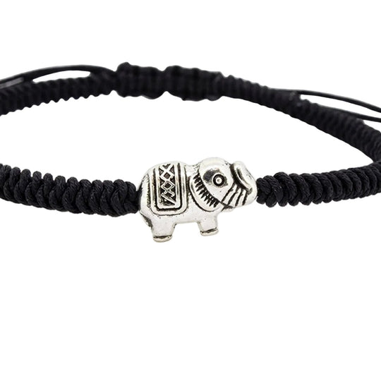 Amata Elefante Black - Castellamare