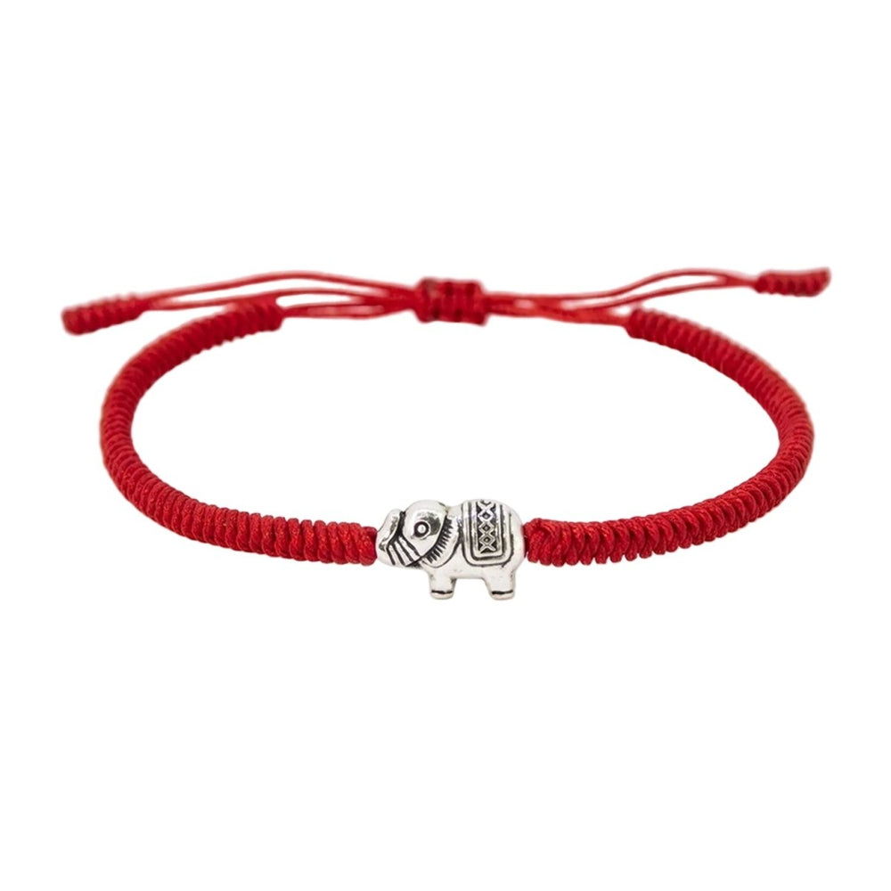 Amata Elefante Red - Castellamare