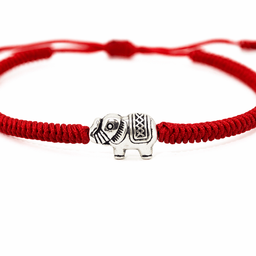 Amata Elefante Red - Castellamare