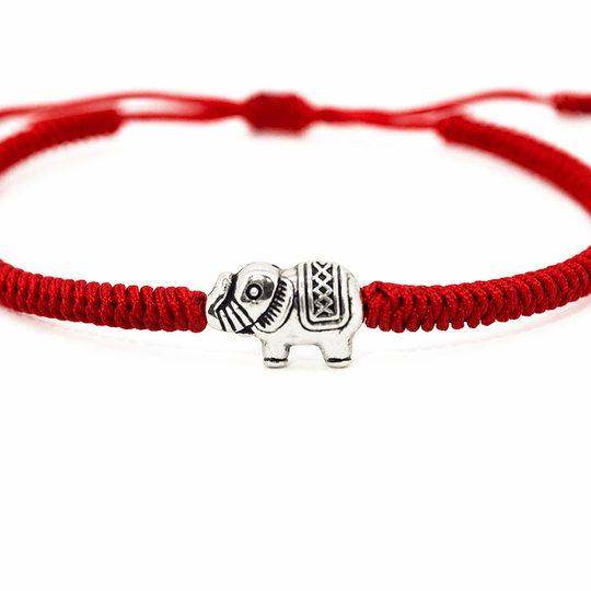 Amata Elefante Red - Castellamare